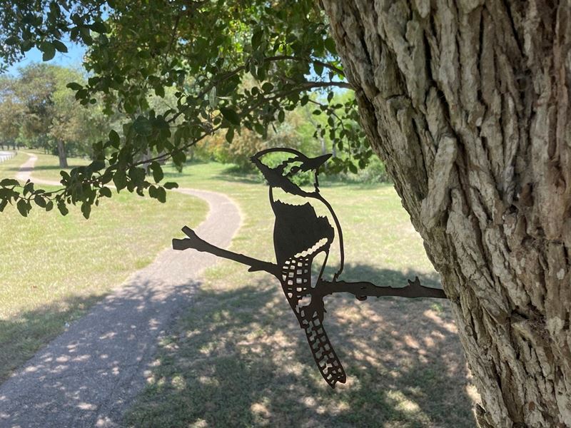 A metal cutout of a bluejay is mounted on a tree near a walking trail