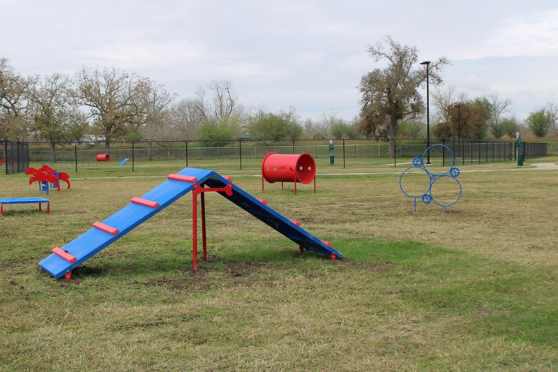 Red and blue dog agility equipment, including a ramp, hoops and a small tunnel.