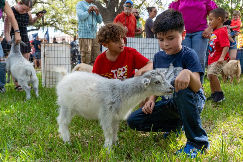 Two young boys pet a baby goat at a petting zoo