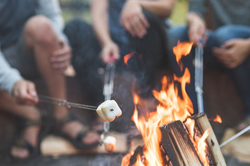 Close-up of roasting marshmallows over fire