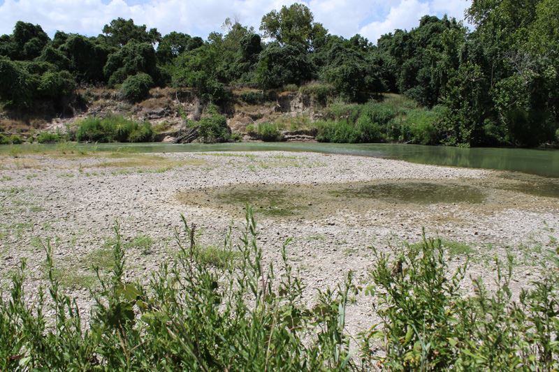 A dry riverbed with patches of green water and plants growing