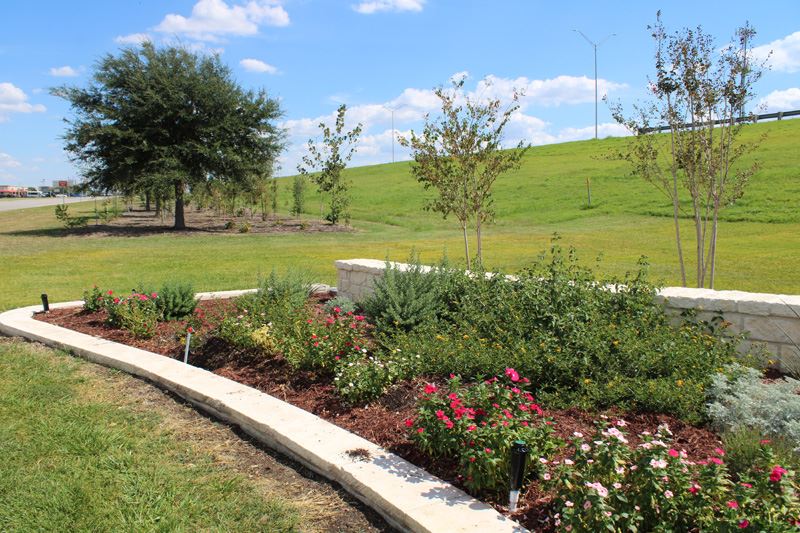 A stone-lined flowerbed with baby trees behind it and more baby and mature trees in background