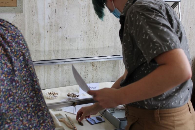 Woman looks at photograph while arranging items in glass case