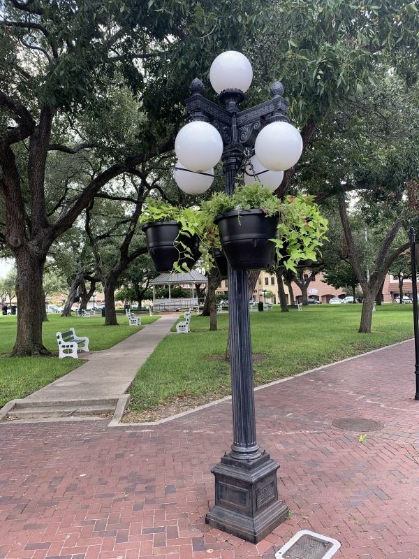 Flower baskets filled with sweet potato vines and mandevilla vines hang from a DeLeon Plaza lamppost