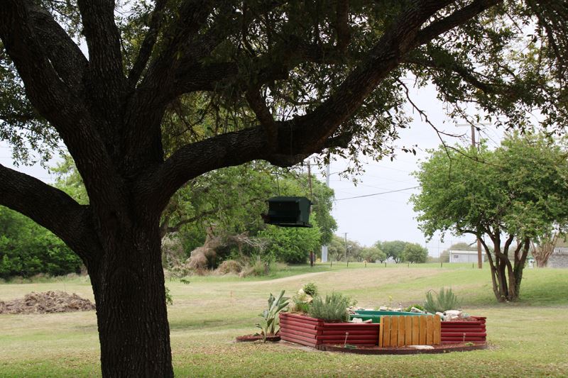 A bird feeder hangs from a tree with a flowerbed in the background
