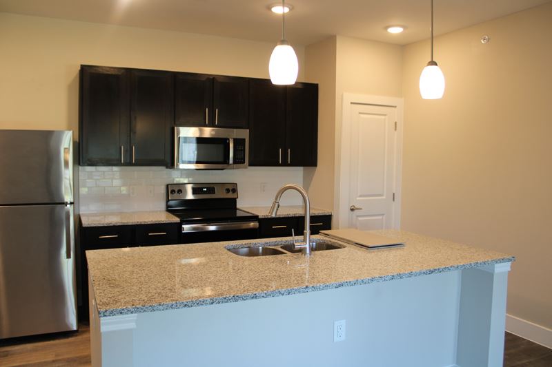 A kitchen setup with granite countertops, dark cabinets, a built-in microwave and hanging lights